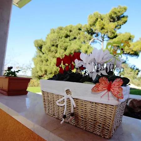 In - Istrien 31448 Nyaraló *