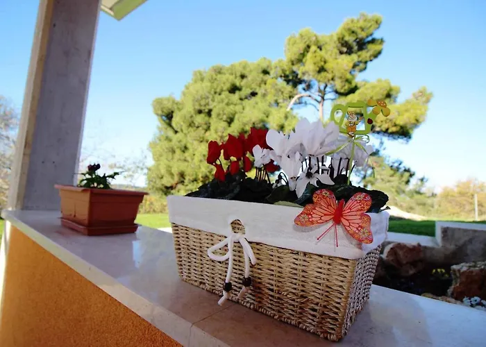 In - Istrien 31448 Vakantiehuis *